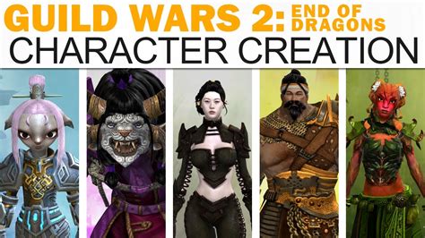 gw2 gender change|gw2 can you change race.
